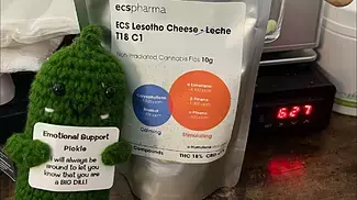 P2 ECS cheese  LECHE T 18 K 4 20 Exodus cheese