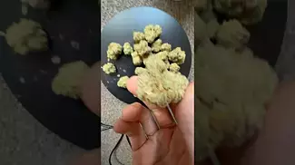 Kings Kush | by IPS_Pharma  24% Thc | uk medical prescription