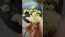 Mr. Green Scriptz Video Thumbnail