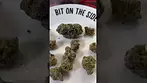 Miracle Valley Mac 1 - U.K. Medical Cannabis #legalcannabis #medicalcannabis #ukmedical
