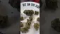 Video Thumbnail: Smokie McGreen