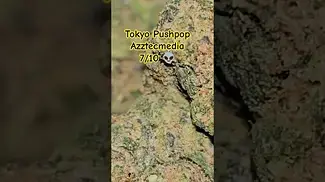 Tokyo Pushpop T25 Azztecmedia   @MedBudWiki #anxiety #medicalcannabis #pain #medical #uk