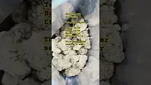 Henry Hemp Video Thumbnail