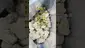 Video Thumbnail: Henry Hemp
