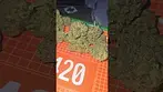 4TP Tin Roof UK Medical Flower First Impressions