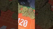 Eazypax420 Video Thumbnail