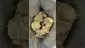 Video Thumbnail: High Jack