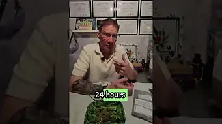 King Sherb from Green Karat