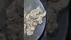 Papers™ YC T29 - Yoda Cap - UK Medical Cannabis Flower Review