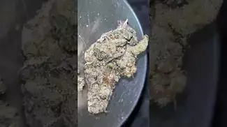 Papers™ YC T29 - Yoda Cap - UK Medical Cannabis Flower Review