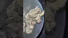 ERB B4S Video Thumbnail