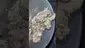 Video Thumbnail: ERB B4S