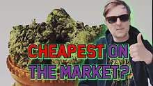 United Patients Alliance Video Thumbnail