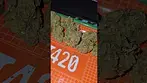 DOE Britz UK Medical Flower First Impressions