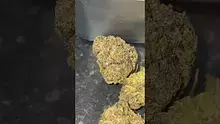 MBUK Video Thumbnail