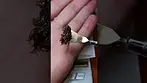 Vasco BLUE LOBSTER 72% Moisture PRESS TEST