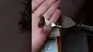 Video Thumbnail: Smacksalad