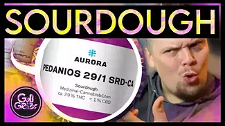 Aurora Sourdough - Medical Cannabis  Review