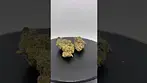 IPS - RainbowRuntz | holy smalls  #ukmedicalcannabis
