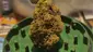Video Thumbnail: Keep Blazing Stay Amazing