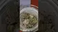 Video Thumbnail: Smacksalad