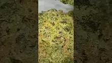 UK and Legal Video Thumbnail