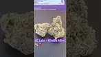 4C Labs ~ Khalifa Mints T24 Review