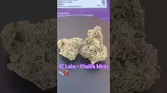 4C Labs ~ Khalifa Mints T24 Review