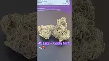 Smokey Mo Video Thumbnail