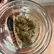 Flower Photo of Companies Cultivating/Producing UK Medical Cannabis NLS T23 Northern Lights
