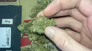  ORANGE CAKE  | UNOPENED | UK MEDICAL CANNABIS PATIENT REVIEW 2025