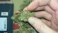 Video Thumbnail: Medical Cannabis Patient Reviews UK