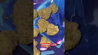 Zkittles CaliX 26% Hybrid quick review of this great medical cannabis cultivator-Hollymood