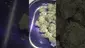 Video Thumbnail: PrescribedBouquet