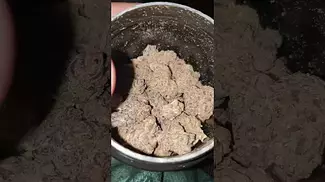 Grape Galena