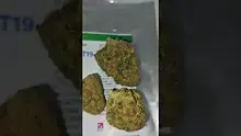 HighThoughts Low Focus Video Thumbnail