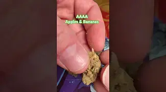 AAAA Apples and Bananas