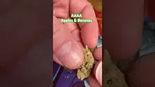 Doc Green Bud Video Thumbnail