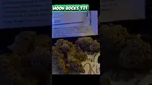 Onemans 420 Video Thumbnail