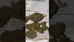 Green karat Jmo skittles #medicalcannabis #medbud