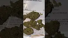 Concanna Video Thumbnail