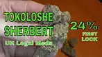 UK Legal Meds: TOKOLOSHE SHERBERT 24% First LOOK