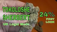 Smacksalad Video Thumbnail