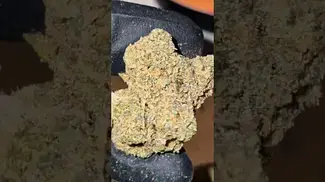 2cavjav #ukmedicalcannabis #cannabisreviews