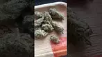UkLegal #Curo BlackCherryPunch 22%thc1%cbd #medicated #mentalhealth #uk #review #adhd #itsokaytotalk