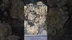 Grow Grape Galena Review T21 #ukmedicalcannabis #medicalcannabis