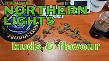 Smacksalad Video Thumbnail
