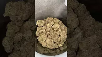Adven cura - T11 (LA KUSH CAKE)