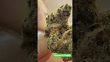 Vinnie's Lounge Video Thumbnail
