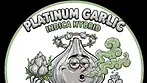 Platinum Garlic (4C Labs Core T26) UK Medical Cannabis Review 18